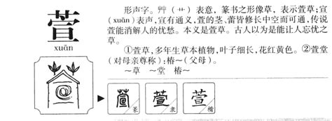 萱名字意思|萱字取名的含义和寓意，女孩带萱字的名字大全